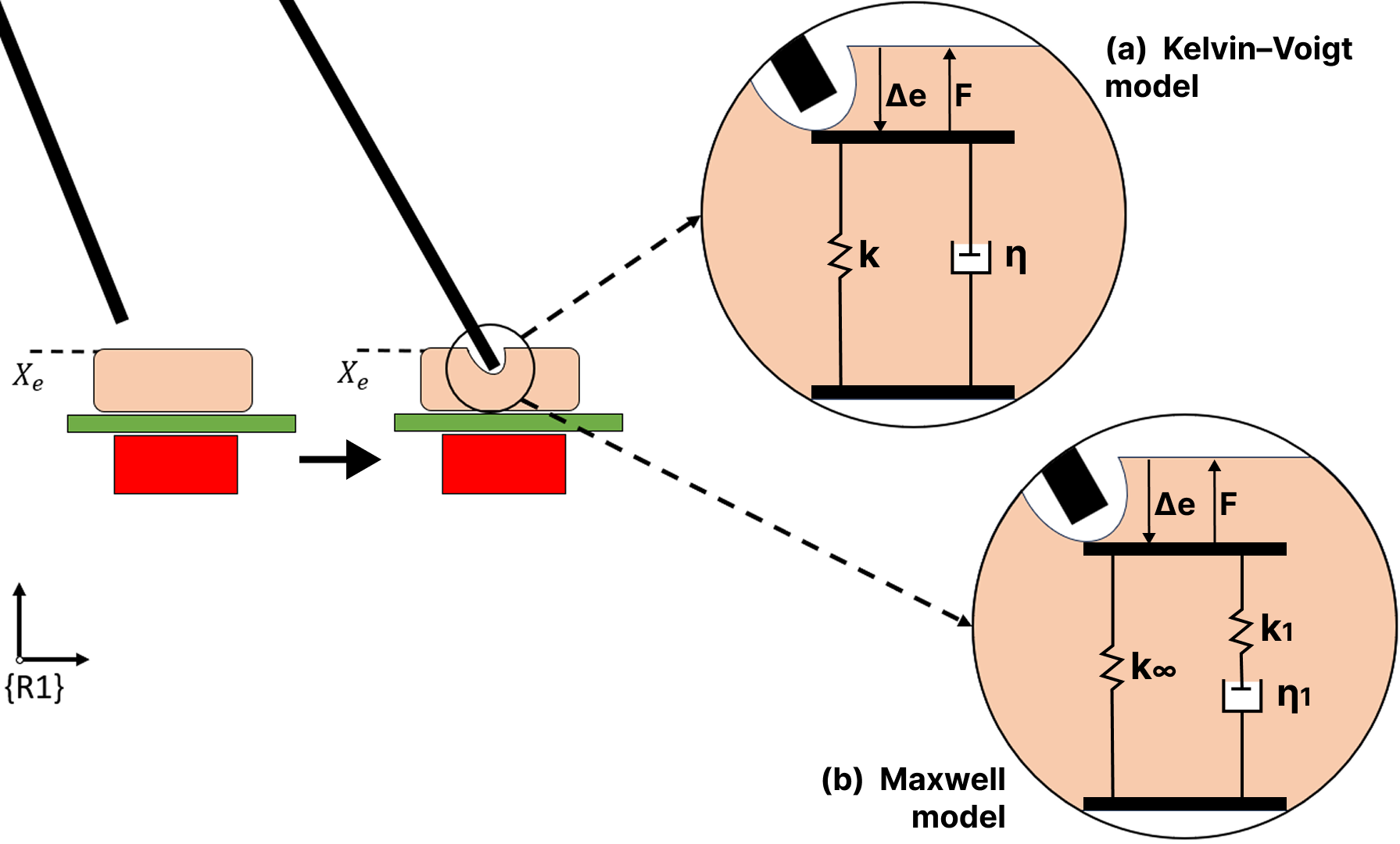 Kelvin-Voigt and Maxwell viscoelastic models